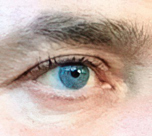Profil de Royce
